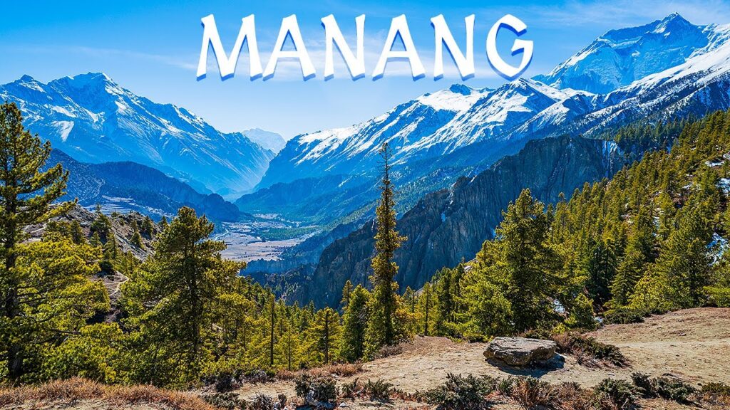 Manag