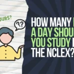 how many hours should you study a day