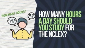 how many hours should you study a day